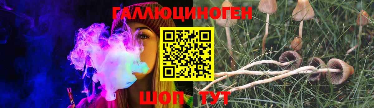 Псилоцибиновые грибы Cubensis  Вход с VPN  Похвистнево  Псилоцибиновые грибы Psilocybe 