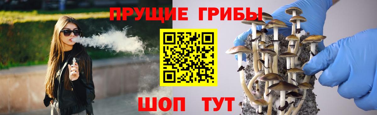 Псилоцибиновые грибы Psilocybine cubensis Похвистнево